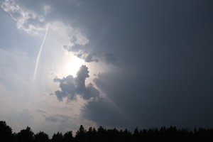 DSCF3819