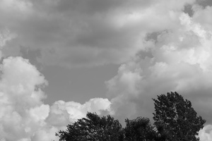 DSCF4009