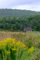 DSCF5463