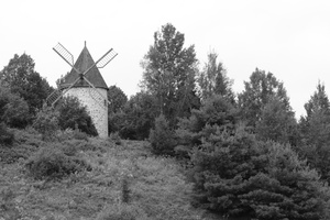 DSCF5461