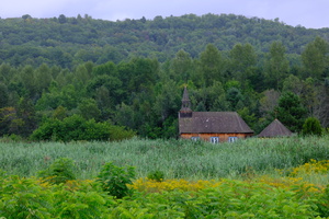 DSCF5458