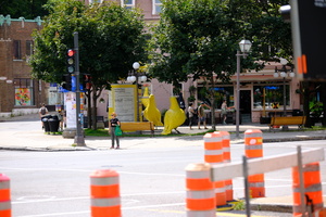 DSCF5237