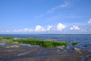 DSCF4998