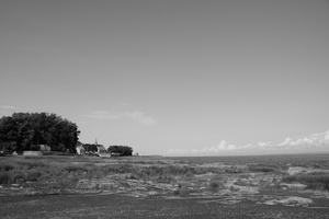 DSCF4996