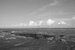 DSCF4995