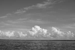 DSCF4994