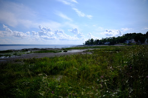 DSCF4959