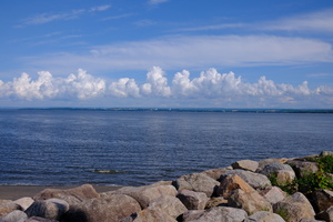 DSCF4954