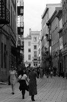 DSCF4801