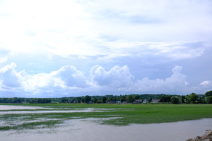 DSCF4510