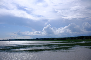DSCF4509