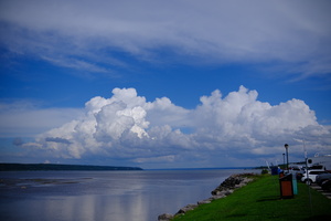 DSCF4495