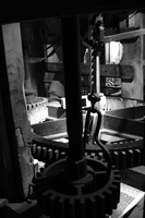 DSCF4319
