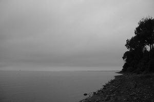 DSCF4282