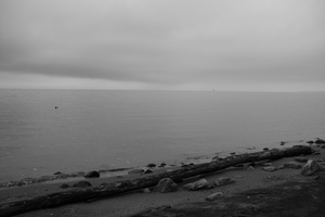 DSCF4278