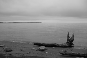 DSCF4277