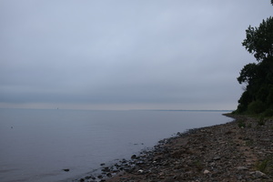 DSCF4271