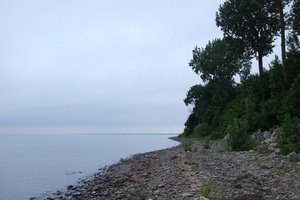 DSCF4269