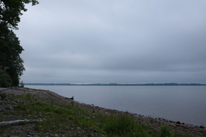 DSCF4266