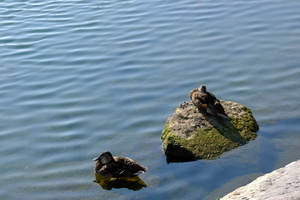 DSCF5765