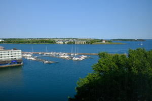 DSCF5536
