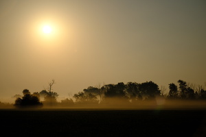 DSCF5792