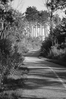 DSCF5819