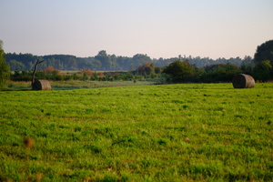 DSCF5821