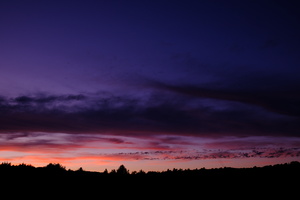 DSCF5955