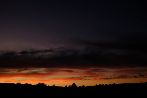 DSCF5951