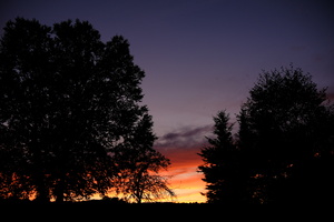 DSCF5940