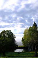 DSCF5989
