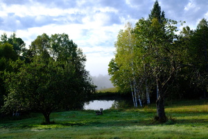 DSCF5987