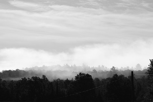 DSCF6079