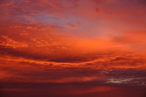 DSCF6167
