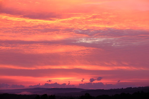 DSCF6162
