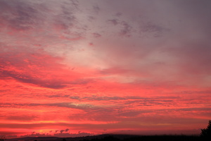 DSCF6154