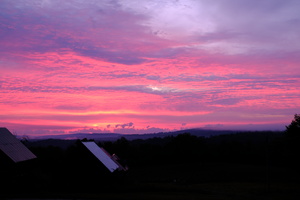 DSCF6146