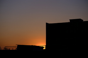 DSCF6537