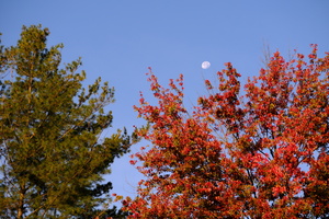 DSCF6672