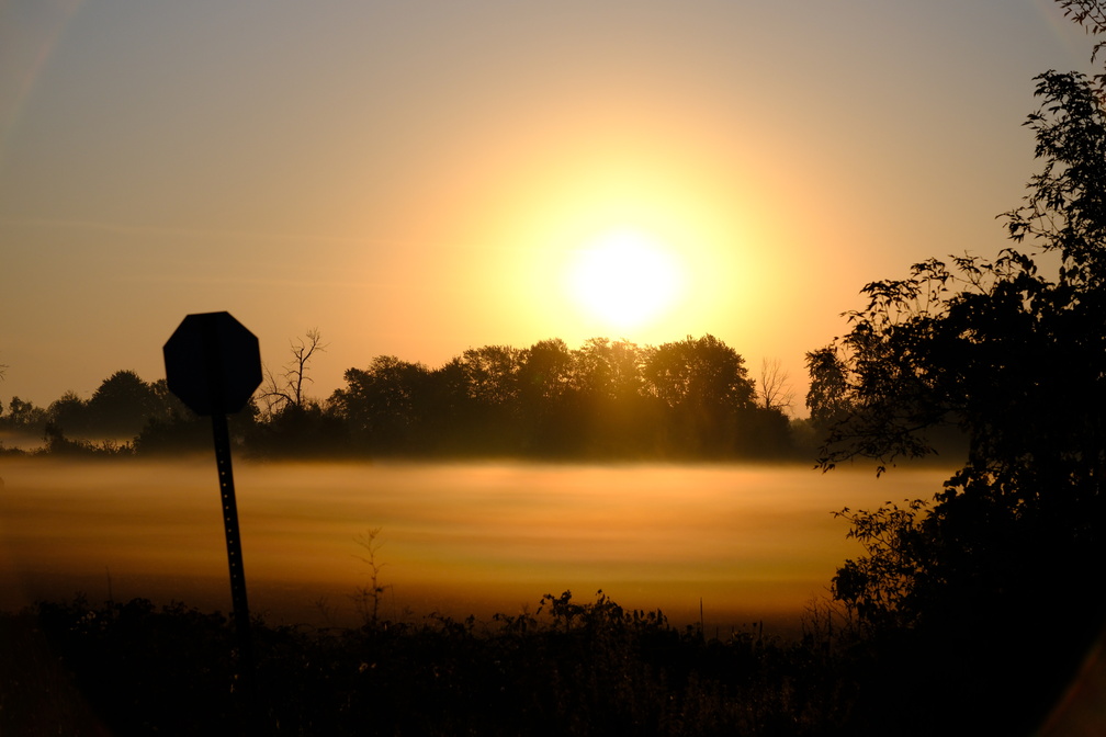 DSCF6718.JPG
