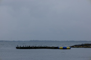 DSCF6849