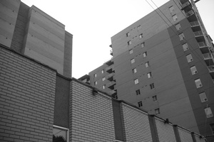 DSCF6970