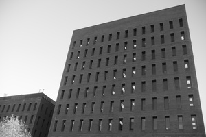DSCF7003