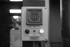 DSCF7007