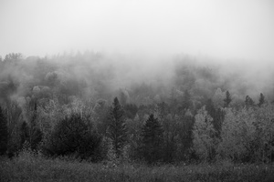 DSCF7172