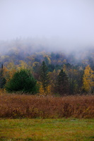 DSCF7163