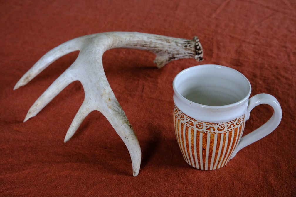 DSCF7189.JPG