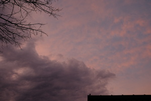 DSCF7415