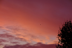 DSCF7646